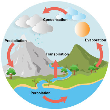 Illustration of diagram representation water cycle. vector esp10