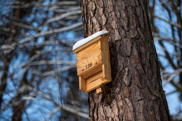 Wooden bird feeder on a tree in the forest covered with snow in winter