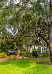 Beautiful park in downtown Savannah, Georgia, USA.