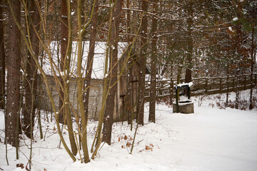 zimowe drzewa, mały domek  © Marcin Łazarczyk