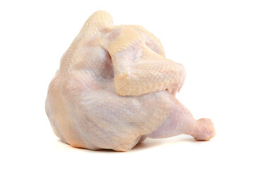 Fresh raw chicken or broiler chicken. Isolated on a white background. Clipping path.