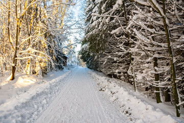 Winter view of the pedestrian road, Livlandarvagen, Karjaa, Raseborg, Finland