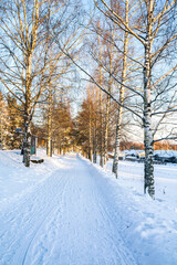 Fototapeta premium Winter view of the pedestrian road, Tammisaarentie, Karjaa, Raseborg, Finland