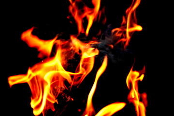 Close up of fire and flames on a black background.
