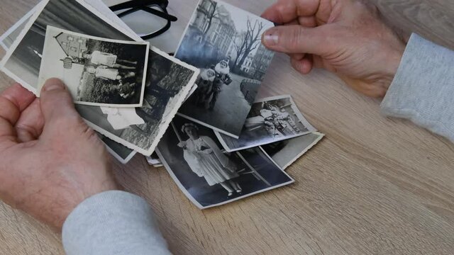 male hands fingering old photographs of 1950s, stack of old photographs on wooden table, concept of genealogy, family tree, memory of ancestors