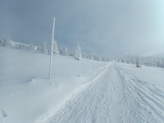 beautiful winter weather in czech krkonose mountains