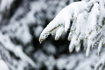 Winterlandschaft mit Neuschnee