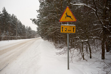 leśna zimowa ścieżka © Marcin Łazarczyk