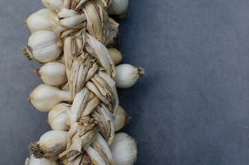 A row of garlic on a gray background. Healthy food concept, folk medicine, harvest. Copy space