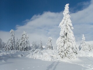 beautiful winter weather in czech krkonose mountains