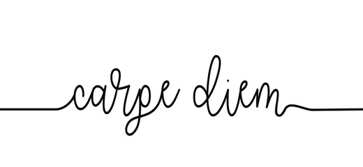 Slogan carpe diem, live every moment. Latin quote. Hat does seize the day mean or  Live now. Possitive, motivation and inspiration. Flat vector inspirational quote sign. Good vibes.