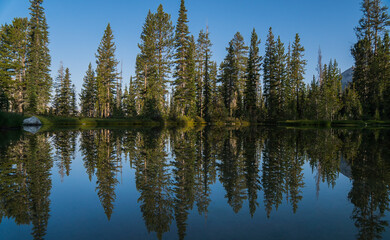 reflection of trees in the lake