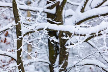 Winterlandschaft mit Neuschnee
