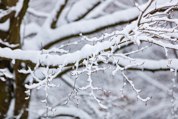 Winterlandschaft mit Neuschnee