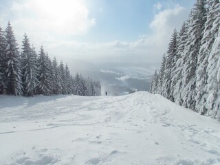 beautiful snowy winter in Krkonose mountains in czechia