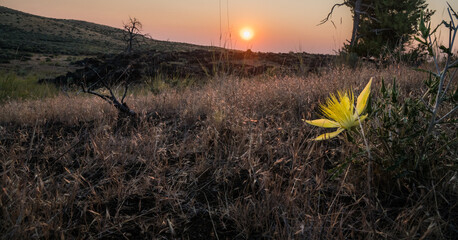 Setting sun in Idaho's Craters of the Moon National Monument