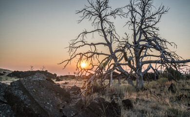Setting sun in Idaho's Craters of the Moon National Monument