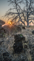 Setting sun in Idaho's Craters of the Moon National Monument