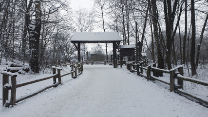 snowy path in the forest between trees and picket fence