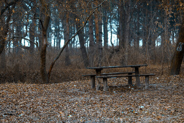 Forest landscape, wooden table in the forest.