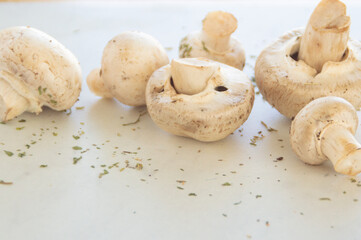 Mushrooms and Herbs