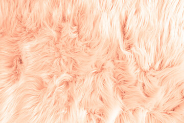 Light beige long fiber soft fur. Coral fur for background or texture. Fuzzy coral fur plaid. Shaggy blanket background. Fluffy fake textile fur. Flat lay, top view, copy space