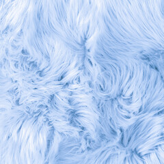 Light blue long fiber soft fur. Blue fur for background or texture. Fuzzy blue fur plaid. Shaggy...