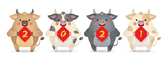 2021 year of the ox. Cute cartoon cows with chinese couplet of 2021 isolated on white background. Chinese new year design element. Cartoon ox in different color.