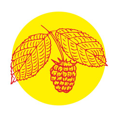 Raspberry, branch with leaves, vector illustration, sketch, red and yellow