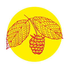 Fototapeta premium Raspberry, branch with leaves, vector illustration, sketch, red and yellow