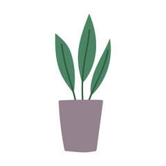 potted plant interior decoration cartoon flat isolated style