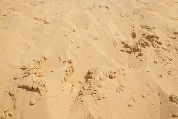 Dry sand in desert on sunny day as background