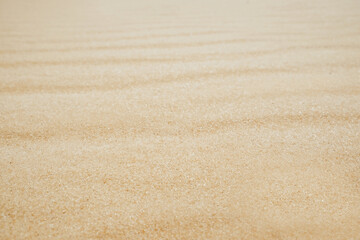 Obraz na płótnie Canvas White rippled sandy surface in desert as background
