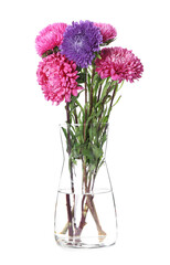 Bouquet of beautiful aster flowers in glass vase isolated on white