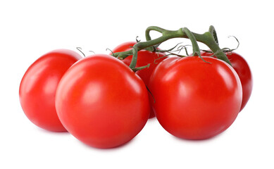 Branch of fresh cherry tomatoes isolated on white