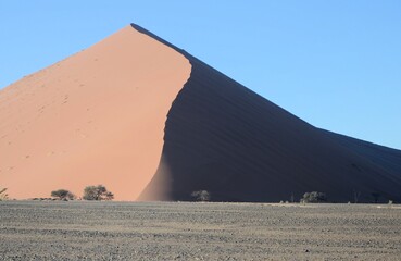 Fototapeta na wymiar Wanderdüne in der Namib, Namibia