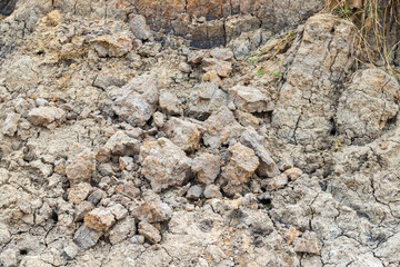 silt soil is a high fertility soil for agriculture, Silt is granular material of a size between sand and clay.
