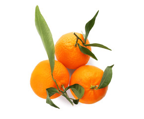 Whole fresh tangerines with green leaves on white background, top view