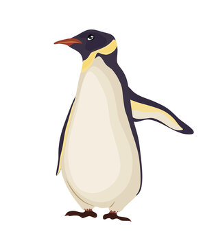 Cute illustration of penguin on white background.