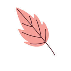 leaf foliage botanical cartoon icon isolated style