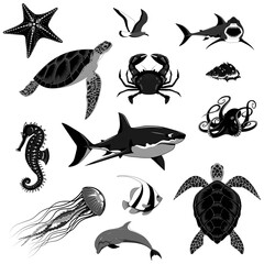 Set of sea animals. Vector monochrome image of sharks, turtles, dolphin, crab, seahorse, octopus, sea star, fish, jellyfish