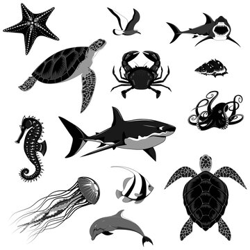 Set of sea animals. Vector monochrome image of sharks, turtles, dolphin, crab, seahorse, octopus, sea star, fish, jellyfish