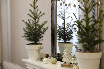 Little fir trees and Christmas decorations on shelf near mirror in room. Stylish interior design