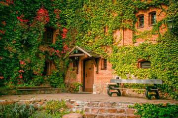 bench and the door of an old ivy-covered castle