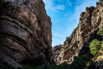 grand valley [ rocky mountains ]