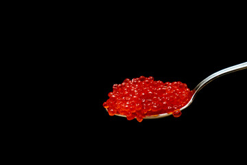Red Caviar in silver spoon on black background with copy space. Close-up red salmon caviar.