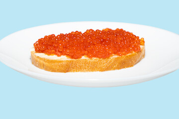 Big sandwich with red caviar and butter on the plate isolated on blue. Red salmon caviar.