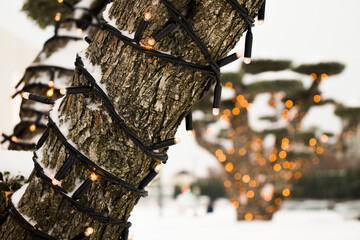 Tree trunks wrapped with New Year garlands. Street Christmas decorations. Christmas light