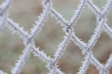 Frost on Fence
