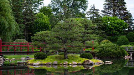 Fototapeta na wymiar lush green park, red bridge over a pond in japanese garden